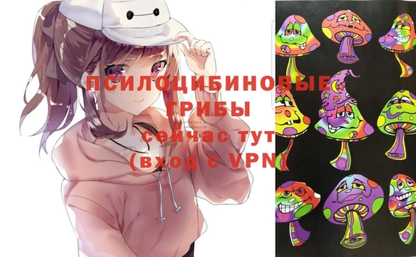 тгк Верея