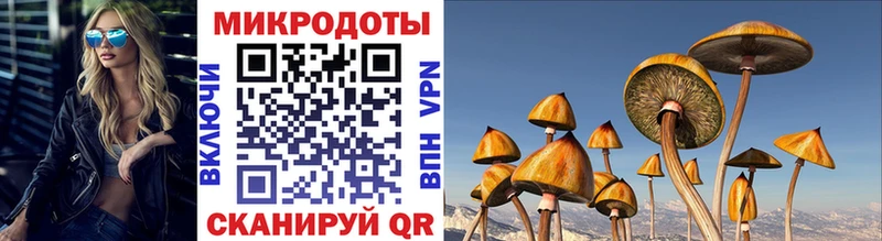 наркота  Первоуральск  Галлюциногенные грибы Psilocybine cubensis 